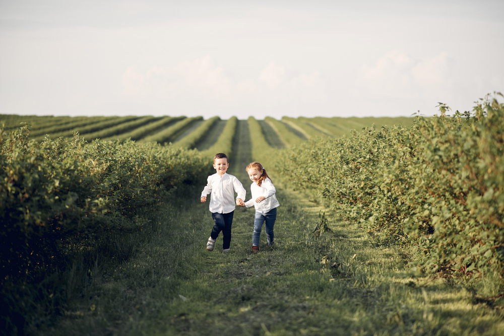 Children walking and playing on the open hills at Alston Park in Napa Valley with vineyards and mustard blooms in the distance.
