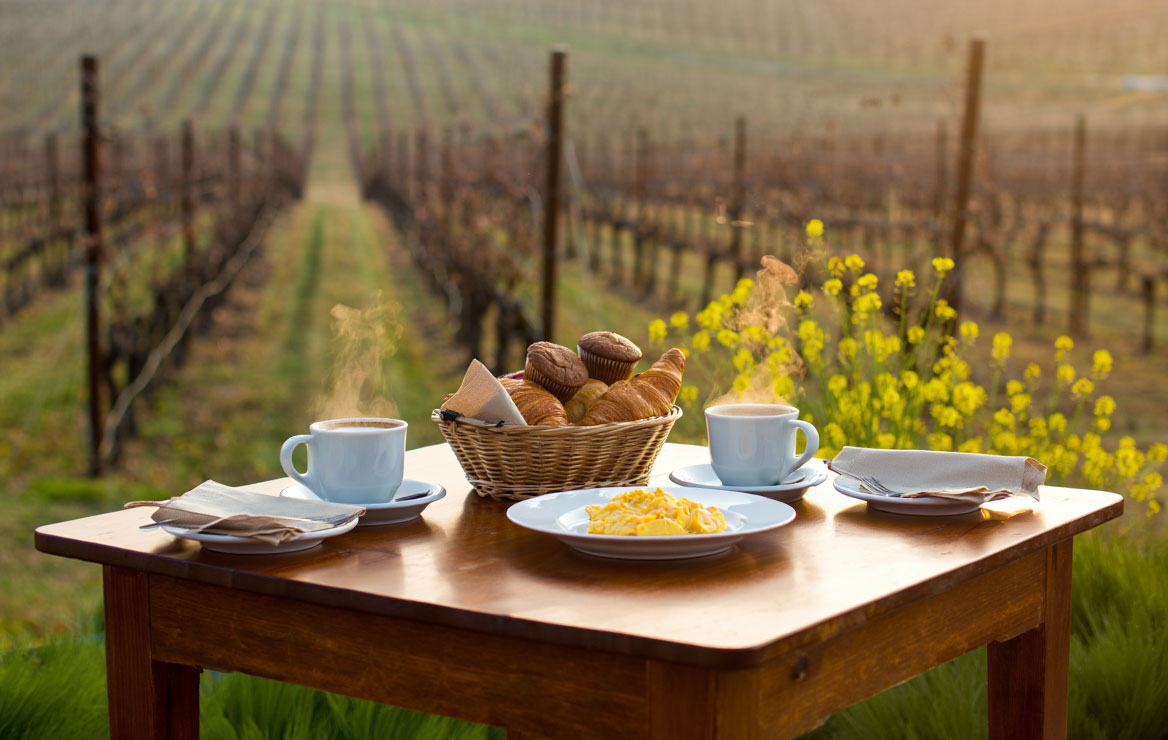 Outdoor brunch table in Napa Valley during winter with coffee, pastries, and vineyard rows under soft morning light and light fog.