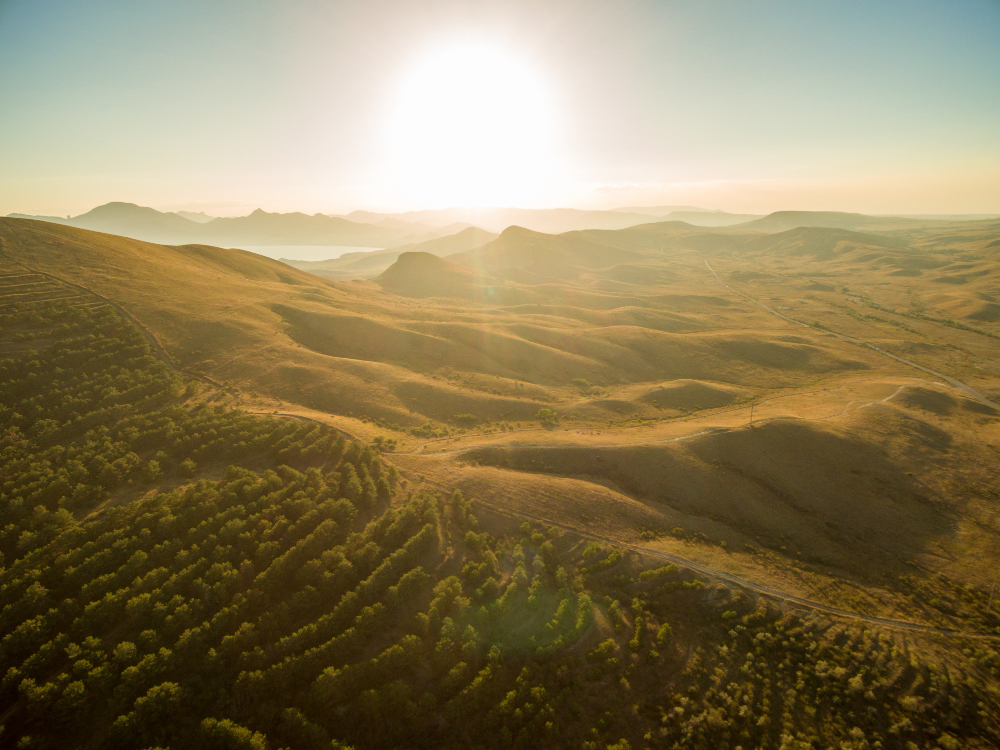Sunrise view from Skyline Wilderness Park showing fog settling over Napa Valley vineyards with soft morning light on surrounding hills.
