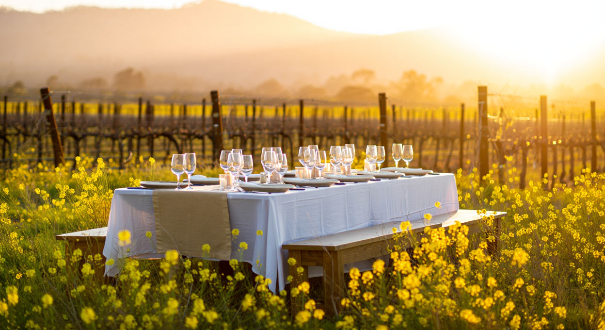 Outdoor dining table set beside Napa Valley vineyards in winter, with wine glasses and mustard blooms signaling a wine-focused dining experience.
