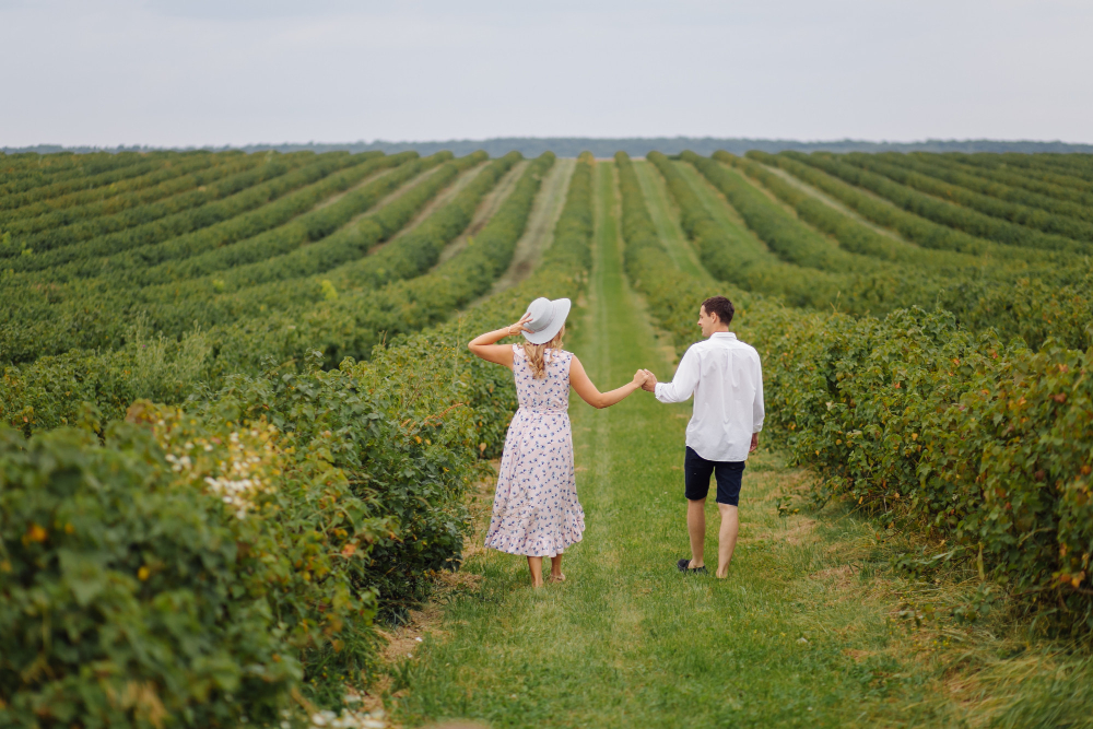 best-romantic-things-to-do-napa-valley-sunset-view