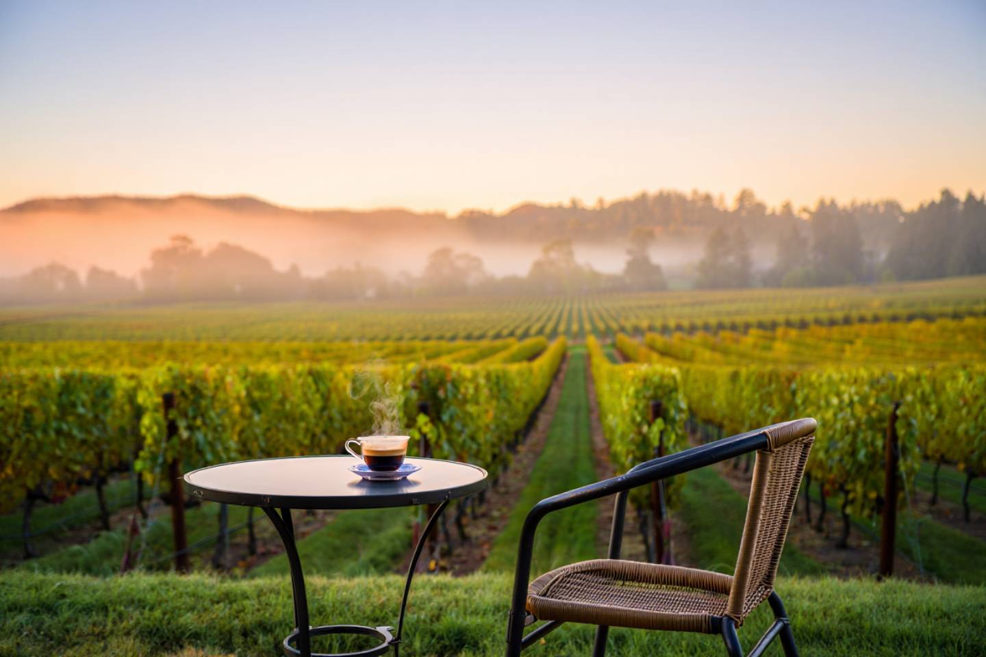 Early morning coffee on a Napa Valley hotel patio overlooking vineyards, showing calm light and a quiet start to the day.
