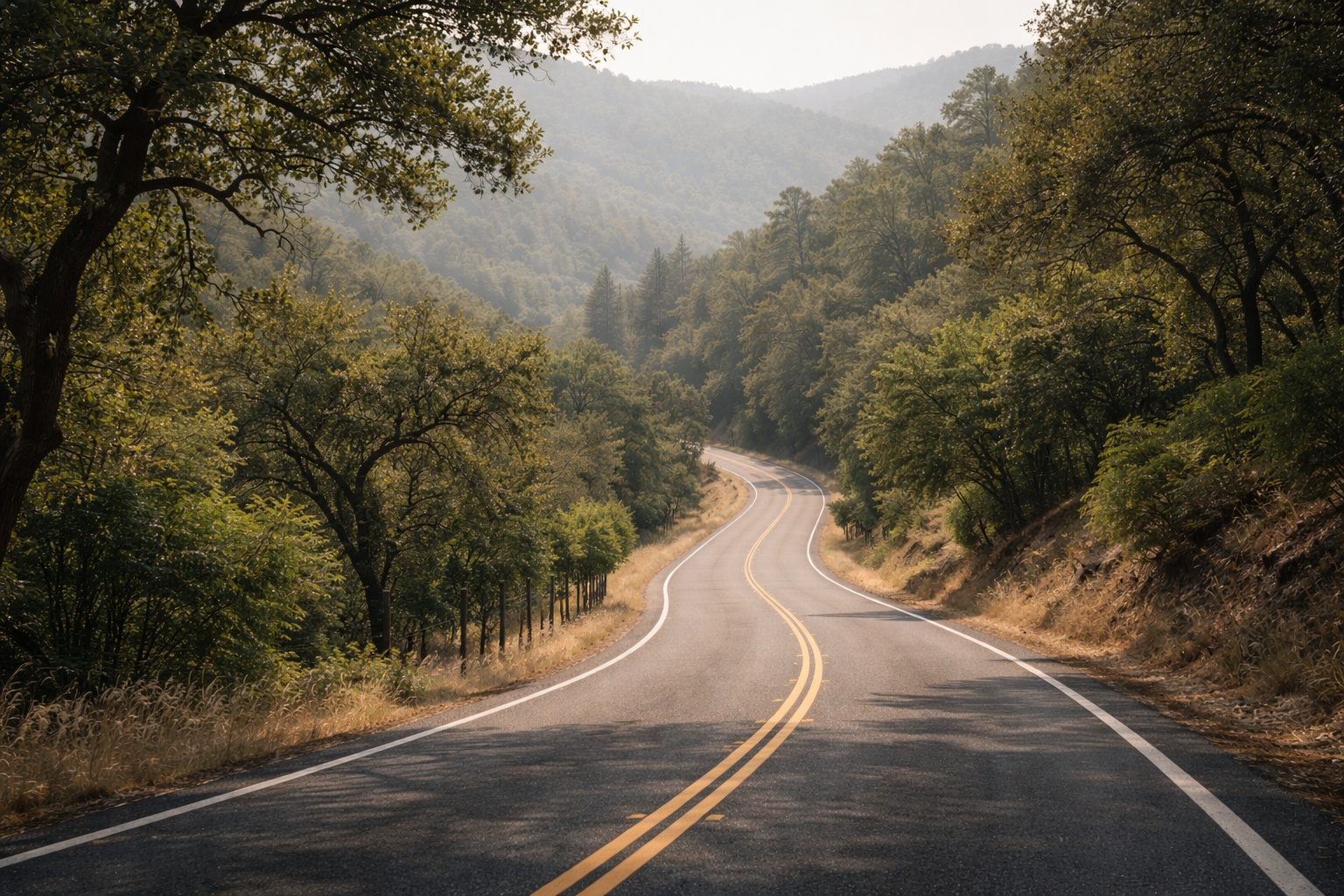  Winding road on Howell Mountain in Napa Valley surrounded by trees and hills, illustrating a peaceful scenic drive through wine country.