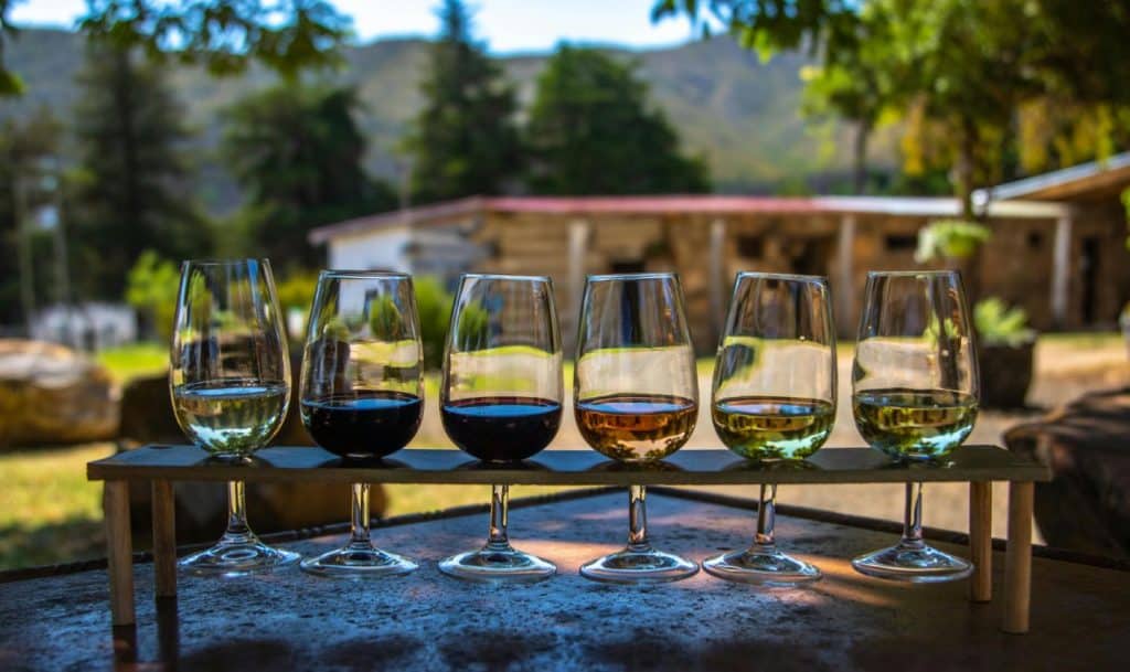 Napa Valley reserve Cabernet tasting flight overlooking vineyard views.
