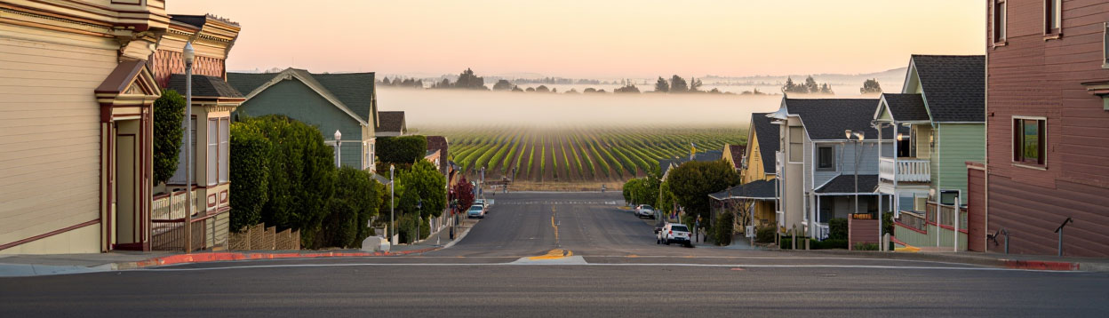 Exterior of a clean, affordable hotel in Napa Valley with trees and morning light, representing practical lodging for wine country visitors.