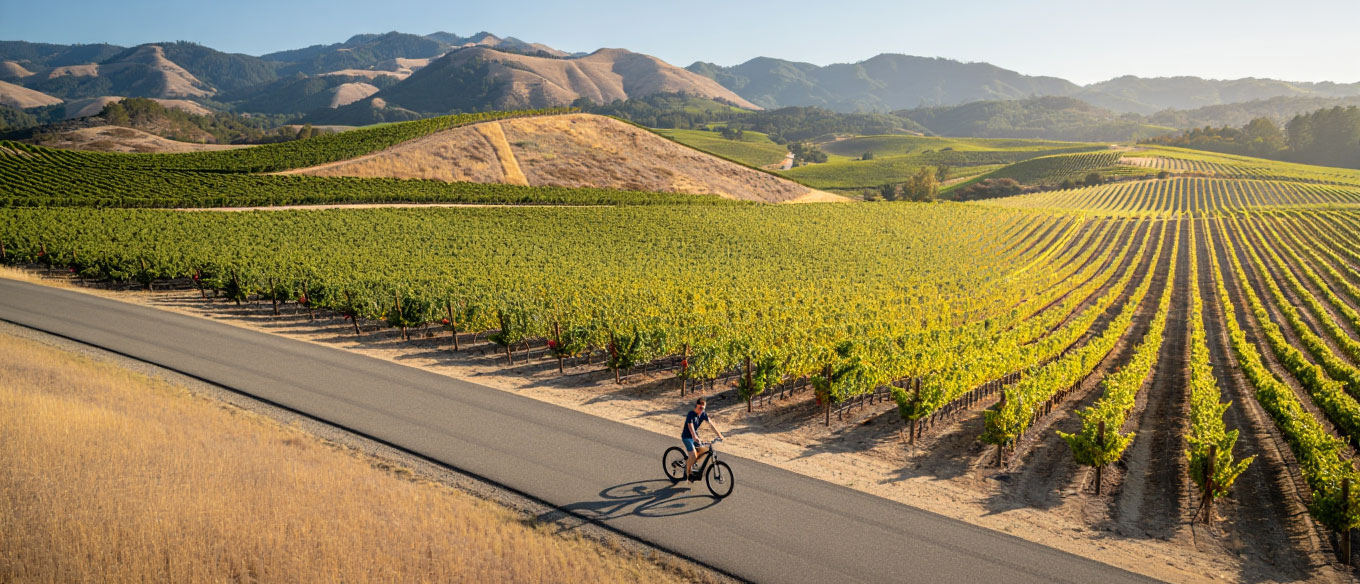 Visitor riding an e bike on Dry Creek Road in Napa Valley with rolling vineyards and hillside views toward the Mayacamas range.