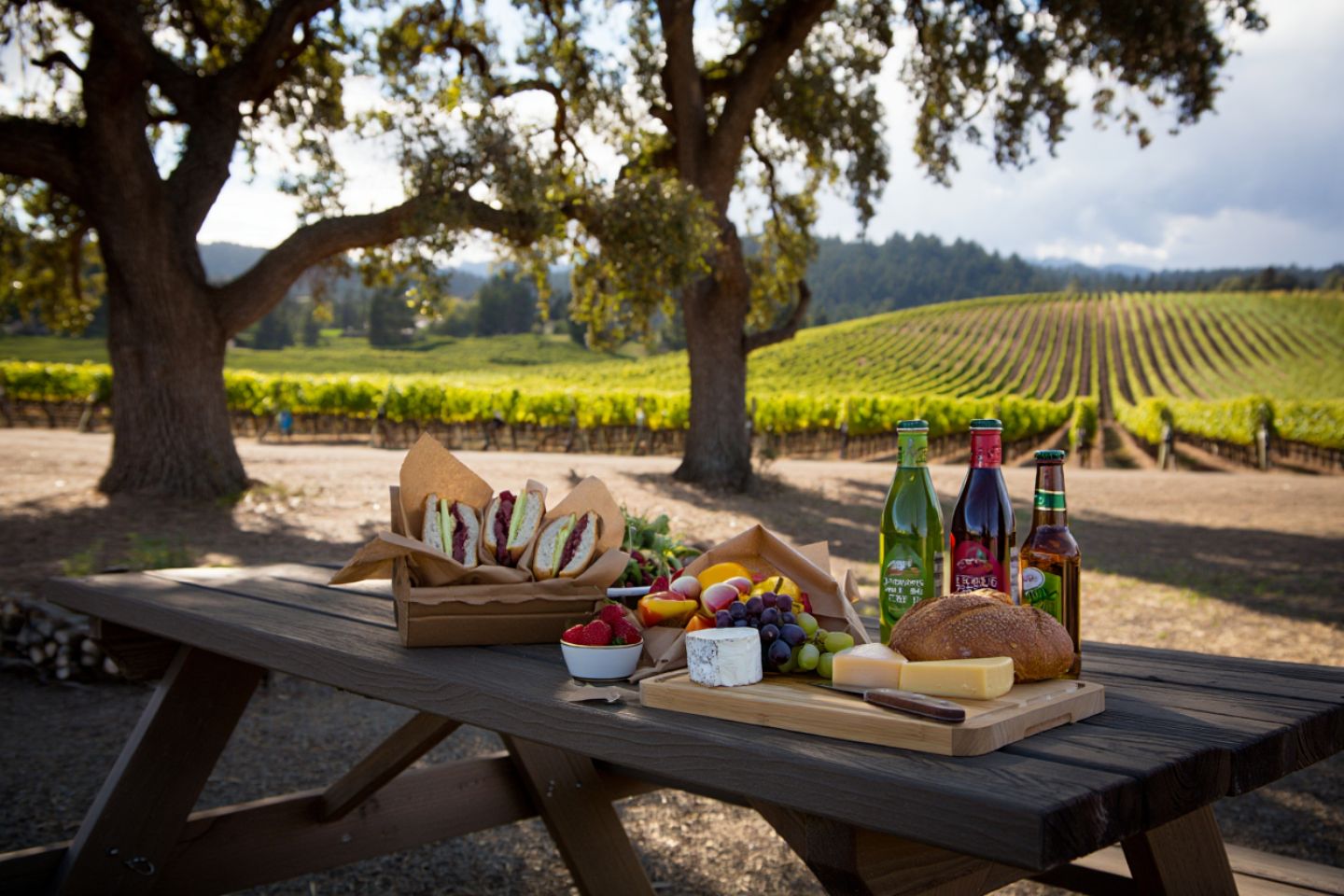 Picnic lunch in Napa Valley with simple food, shaded seating, and vineyard scenery, reflecting a relaxed and budget friendly travel experience.