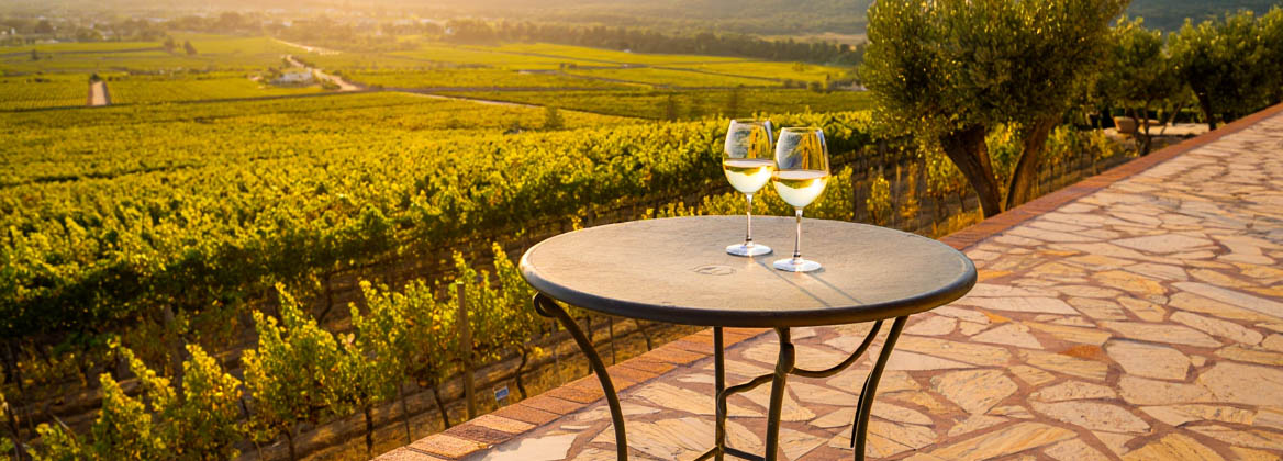 Seasonal Michelin tasting menu course in Napa Valley featuring winter ingredients such as chicories and citrus, highlighting the region’s farm-driven fine dining.