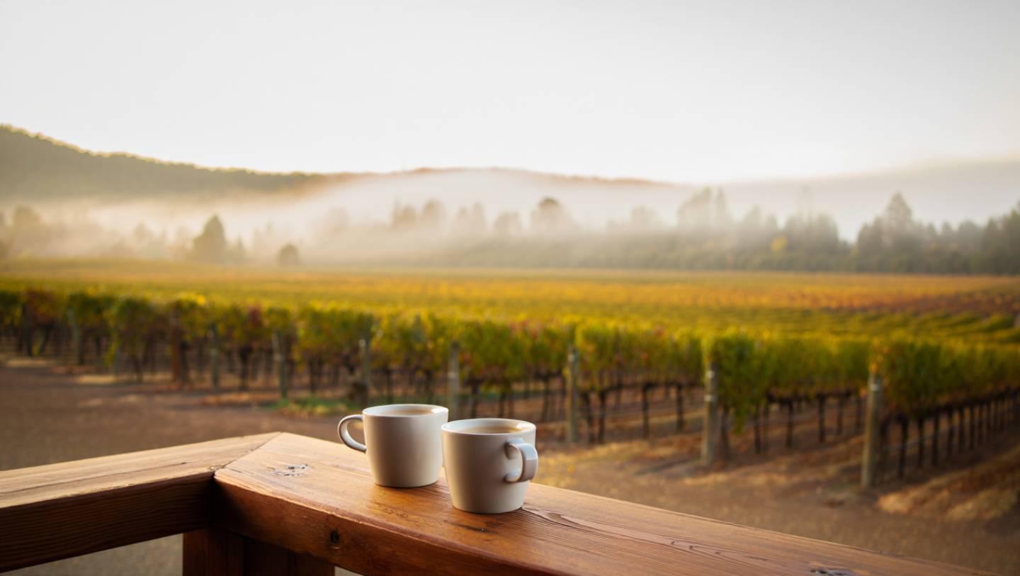 Quiet morning in Napa Valley with vineyard views and coffee cups on a table, illustrating a peaceful couples itinerary focused on calm and connection.