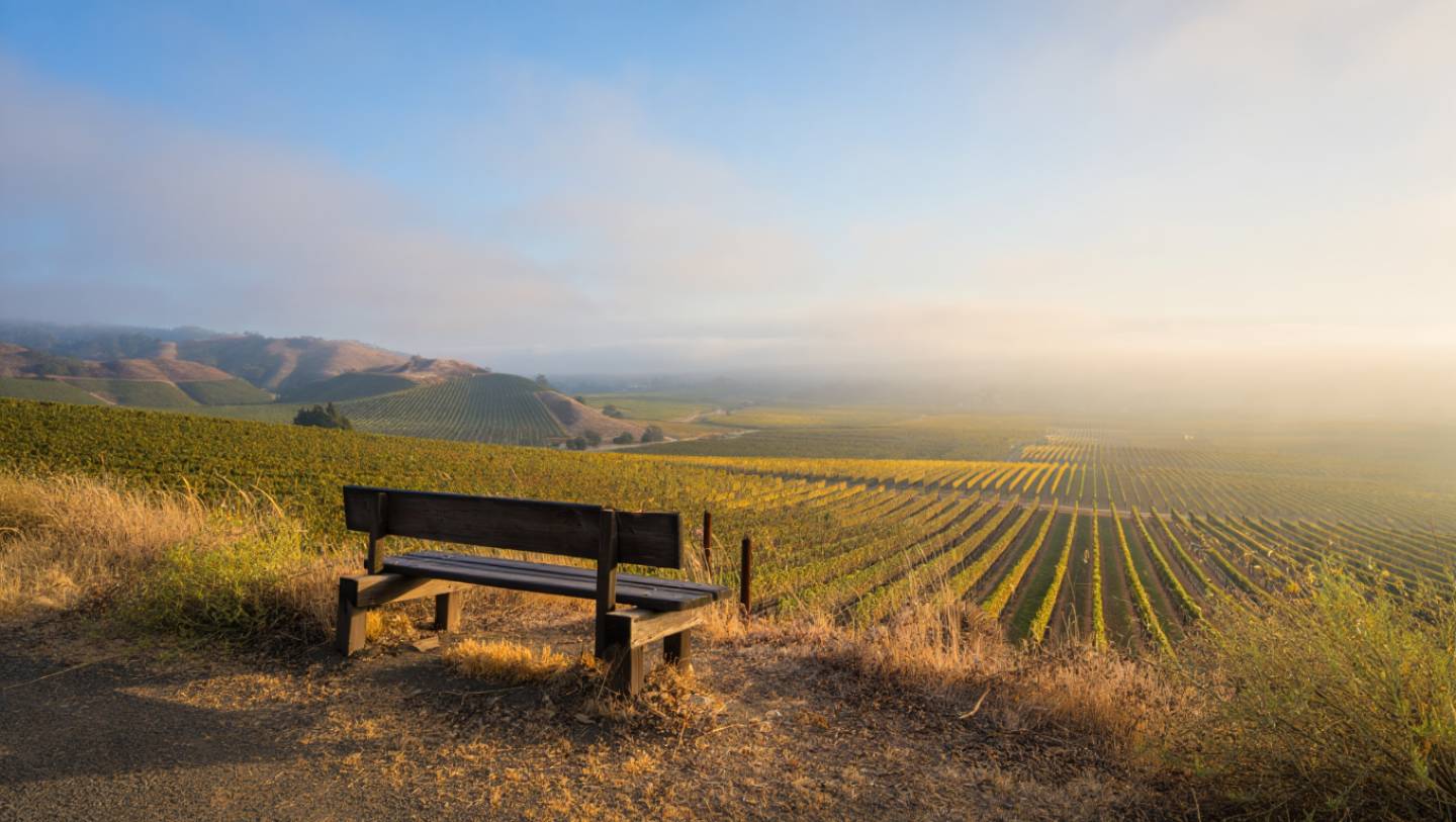 Quiet seating area overlooking Napa Valley vineyards, representing a peaceful place for reading and reflection while traveling.