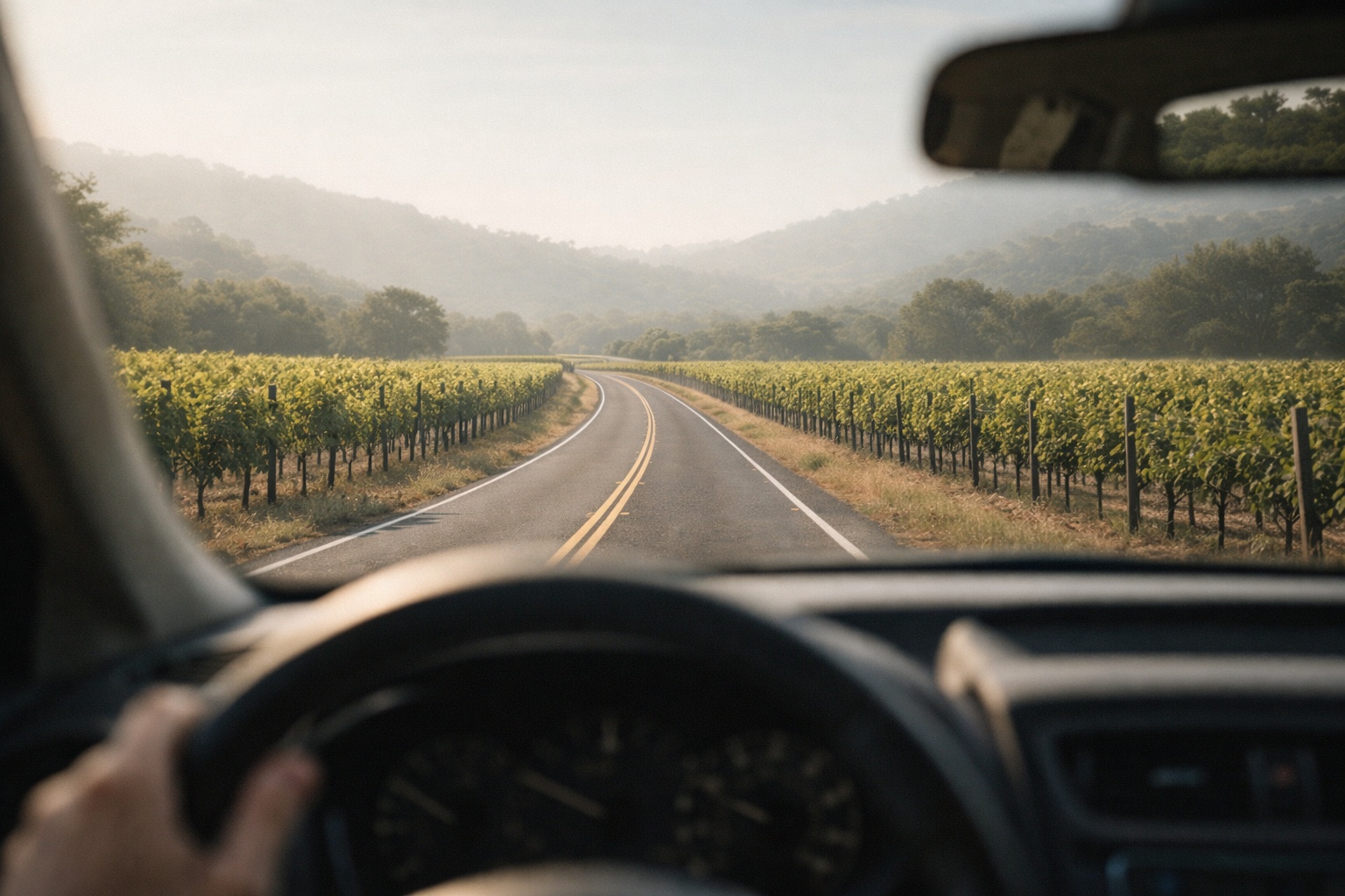  View from inside a car driving through Napa Valley vineyards, showing a quiet scenic road ideal for long drives with podcasts.