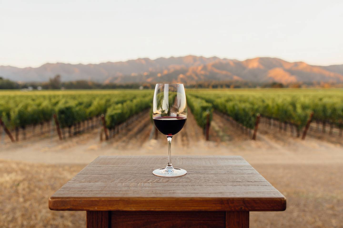 A quiet seated wine tasting setup in a Napa Valley vineyard with a single glass on a wooden table and vineyard rows in soft afternoon light.
