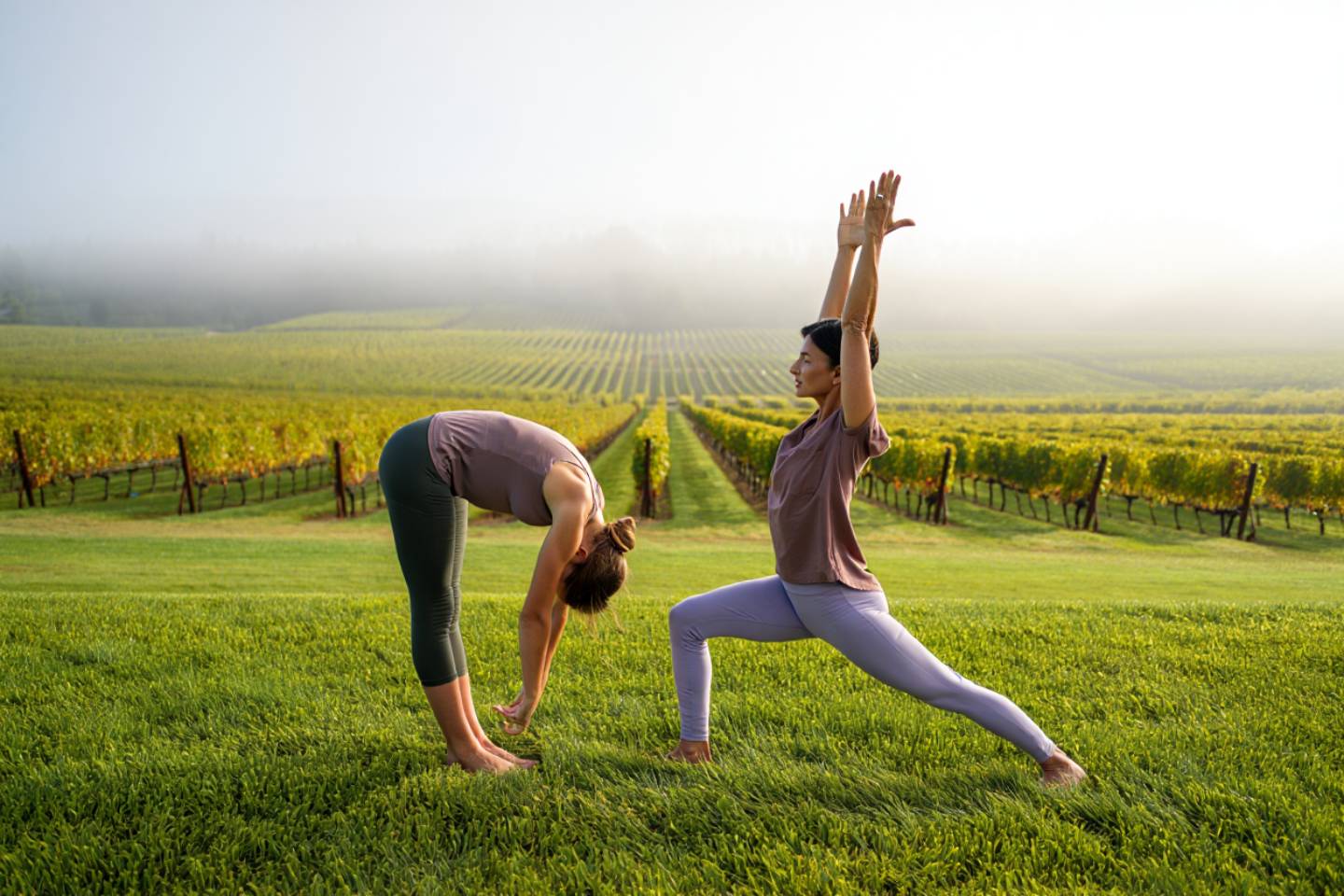 Early morning yoga practice in a Napa Valley vineyard as fog lifts over the Rutherford benchlands, showing a calm wellness retreat setting surrounded by grapevines.