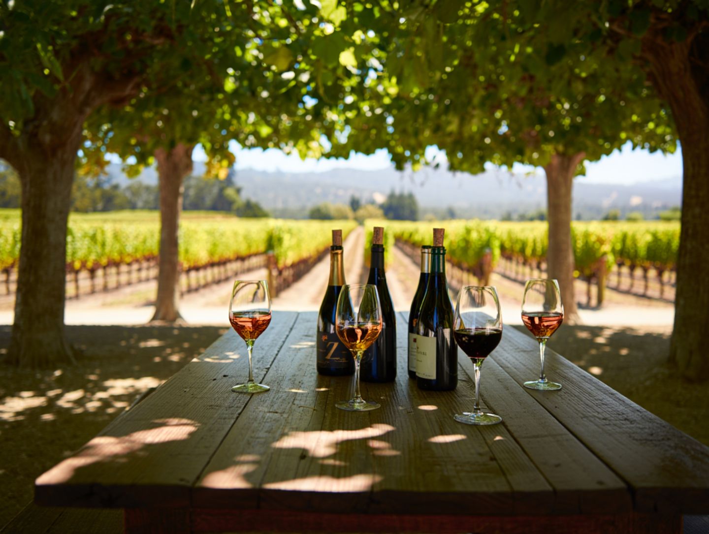 Shaded outdoor wine tasting in Napa Valley during summer with vineyard views and comfortable seating.