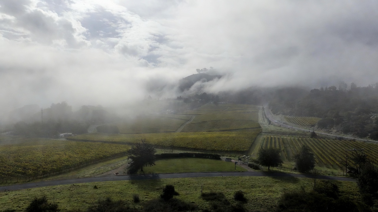 Scenic picnic pull-off in Napa Valley’s Oak Knoll District with vineyard views and soft morning light, illustrating an easy picnic stop for visitors driving from Marin County