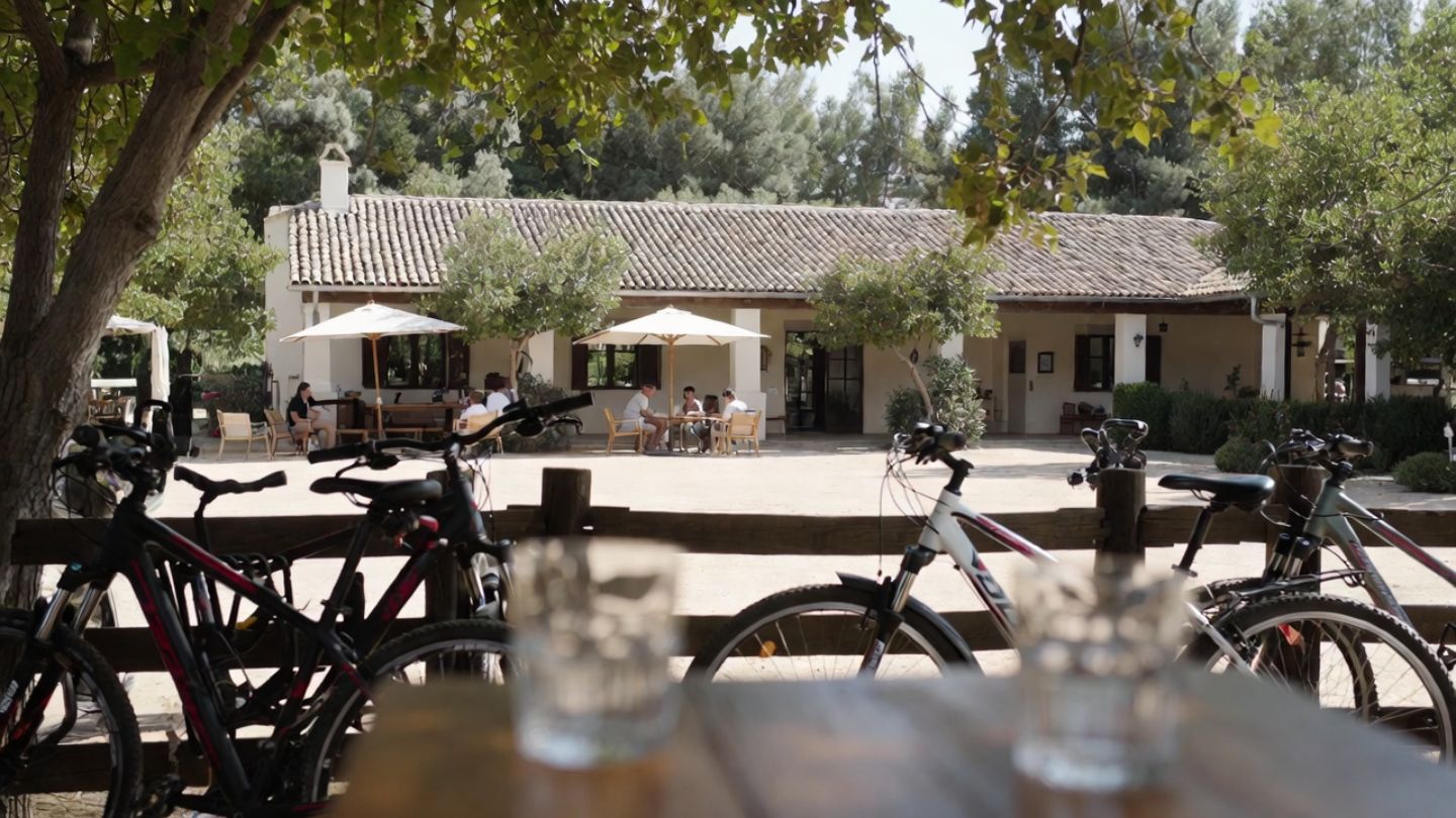 Electric bikes parked near an outdoor winery table in Napa Valley, illustrating bike friendly wine tasting experiences for Alameda County visitors.