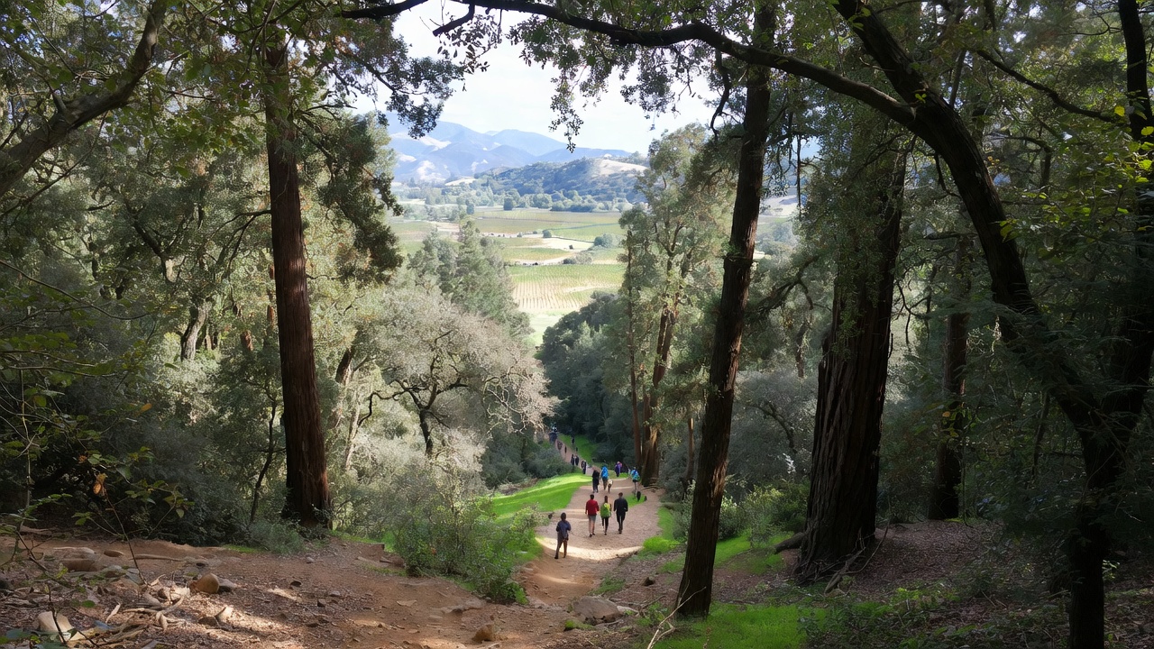 Hikers walking through oak woodland and redwood forest at Bothe Napa Valley State Park near Calistoga, highlighting preserved open space and conservation travel in Napa Valley.