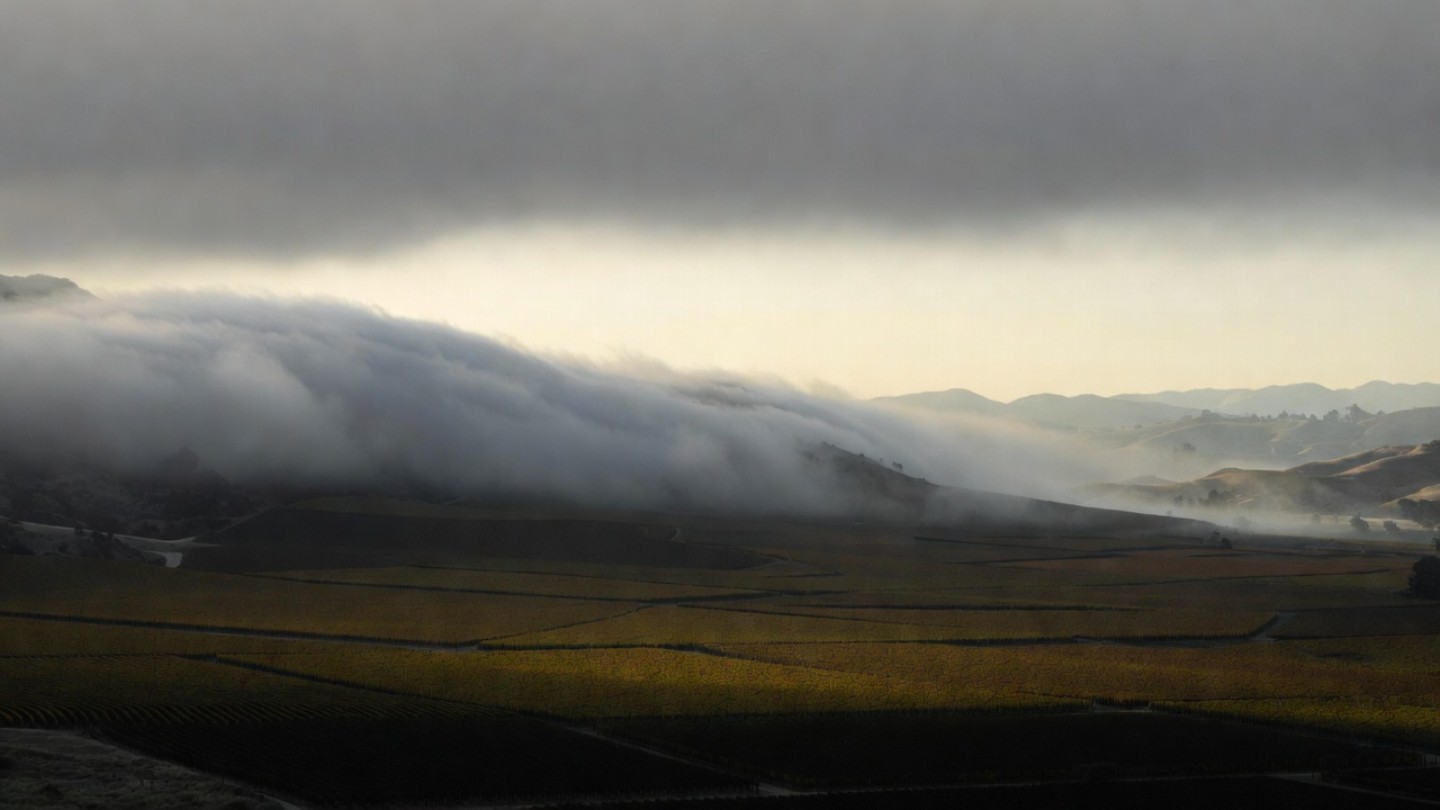 Morning fog moving into the Carneros region of Napa Valley from San Pablo Bay, showing how coastal weather shapes the southern end of the valley.