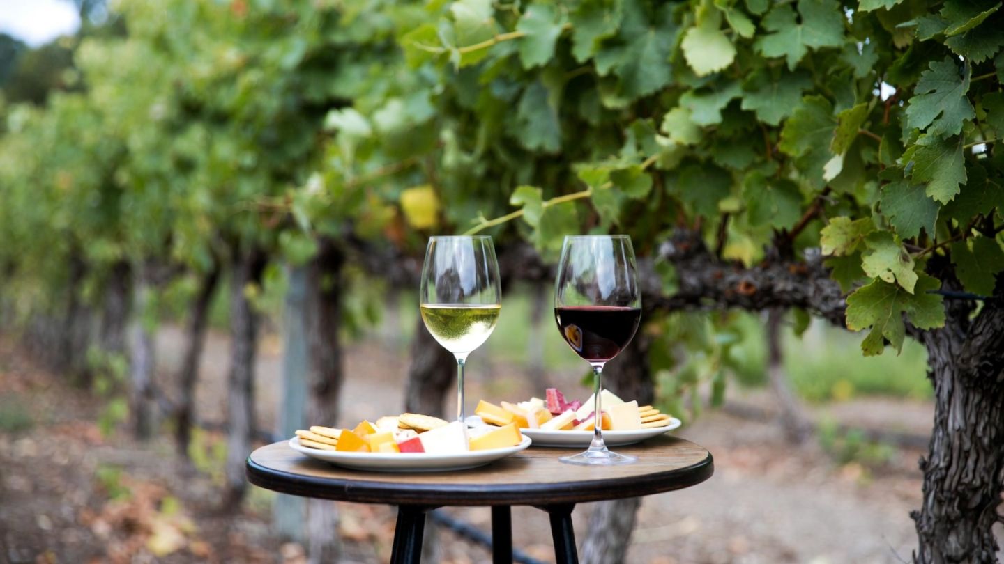 Wine and cheese pairing at a Carneros winery in Napa Valley, highlighting food-focused tastings for visitors from San Francisco.