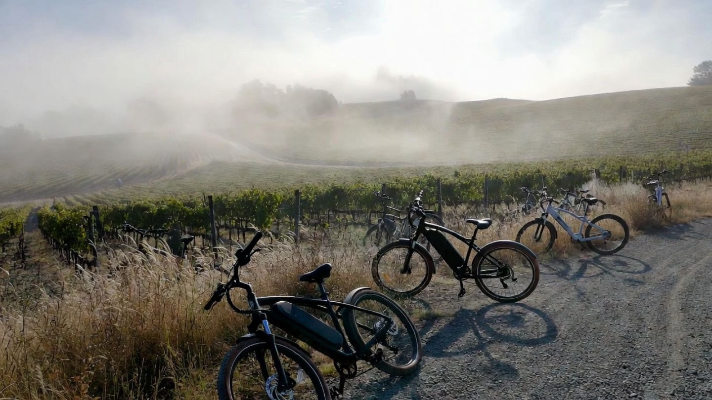 Electric bikes parked along the Napa Valley Vine Trail beside vineyards in early morning light, showing an eco friendly way for Alameda County visitors to explore Napa.