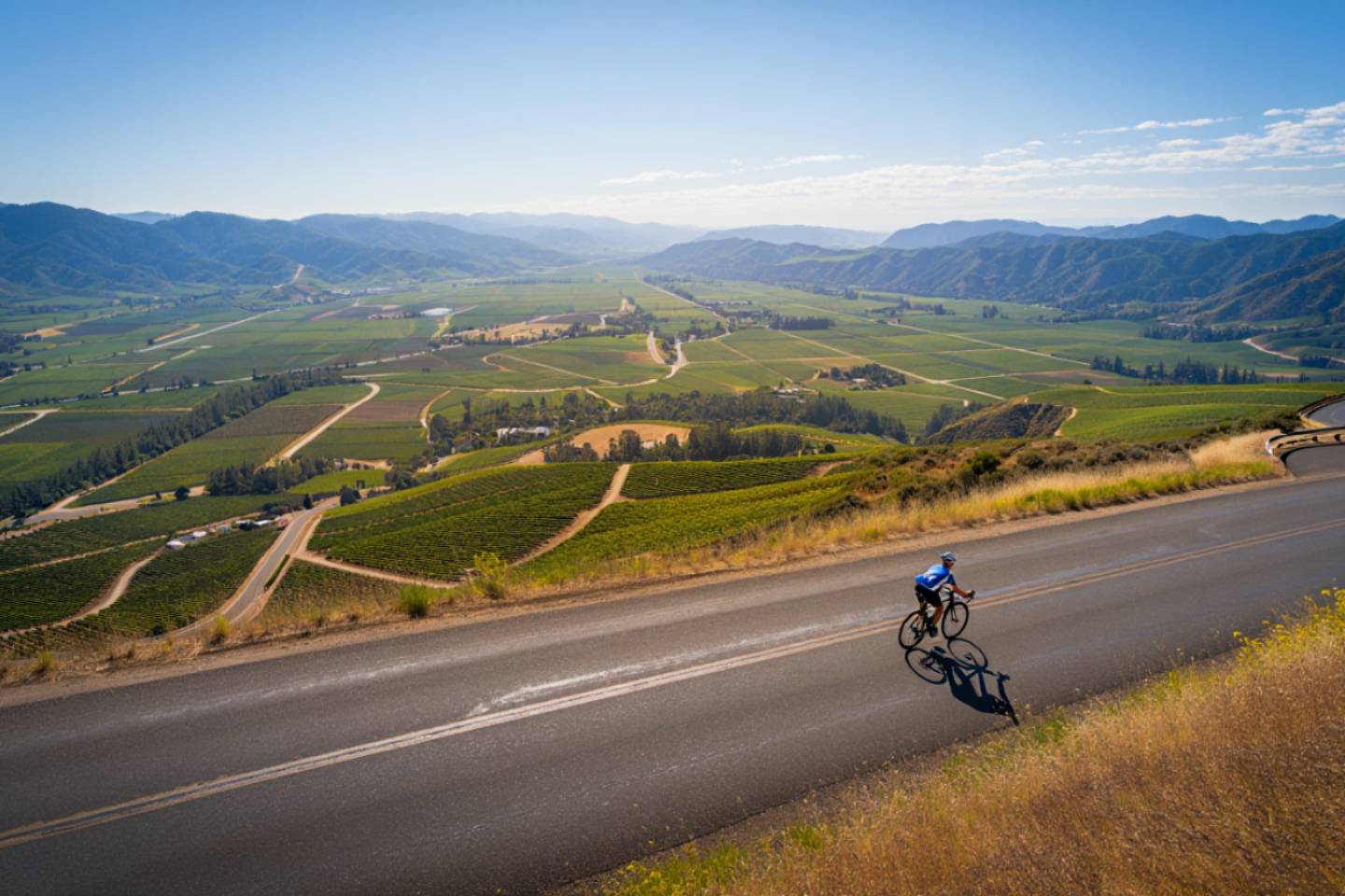 Cyclist climbing toward Howell Mountain in Napa Valley with panoramic vineyard views over Oakville and St. Helena.