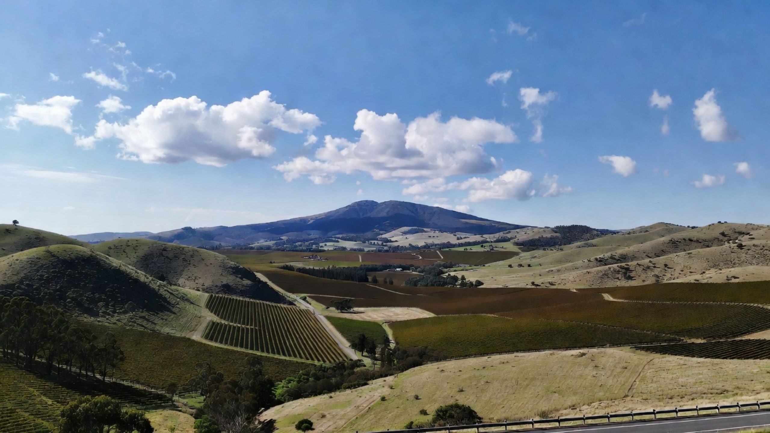 View toward Mt St Helena from the eastern side of Napa Valley showing rolling vineyards and open sky, highlighting a peaceful scenic driving route for East Bay visitors.
