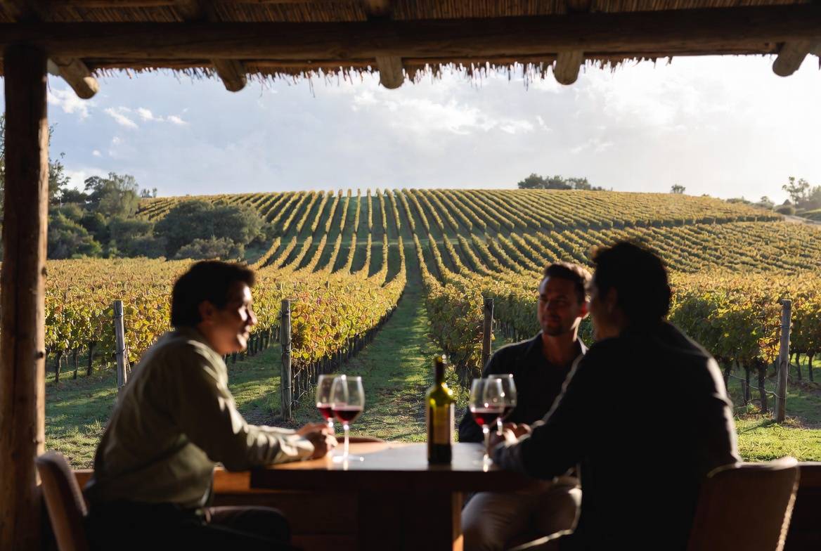 Guests enjoying a seated wine tasting at a small Napa Valley estate winery with vineyard views, emphasizing relationship-driven hospitality and repeat visits.