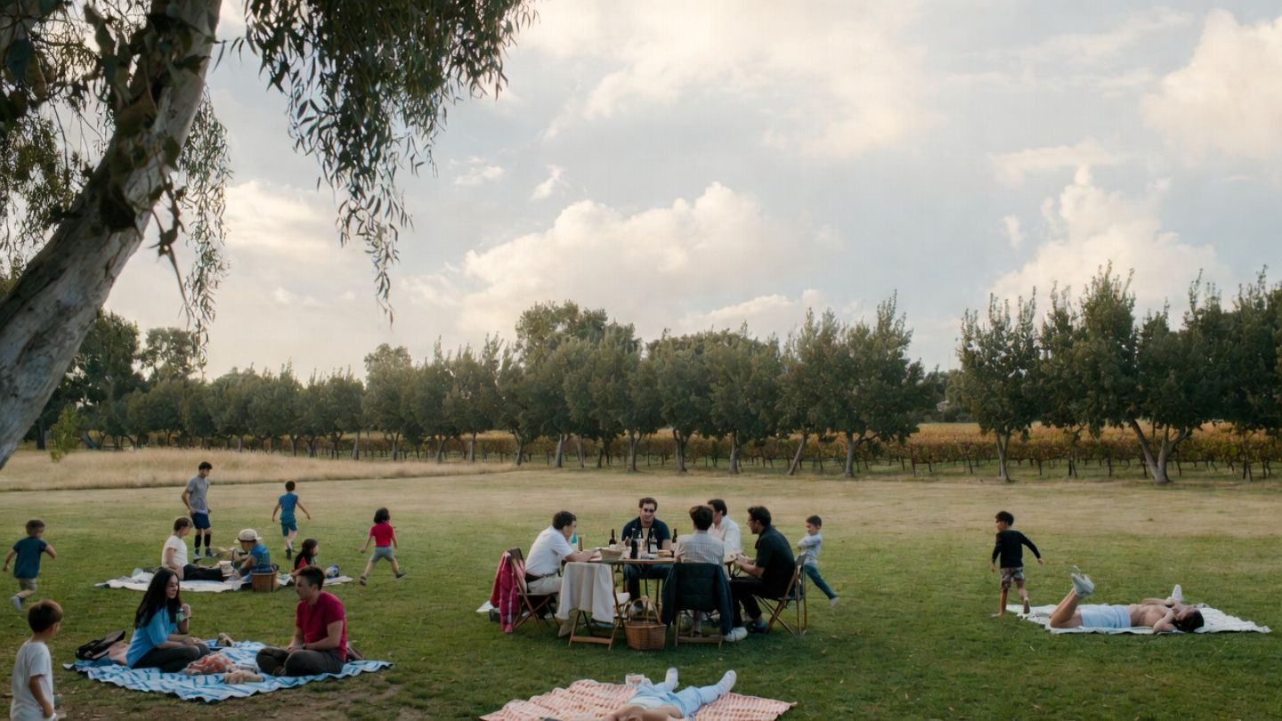 Family friendly outdoor lawn in Napa Valley with open space and picnic seating, showing a relaxed wine country experience for San Jose and South Bay families.