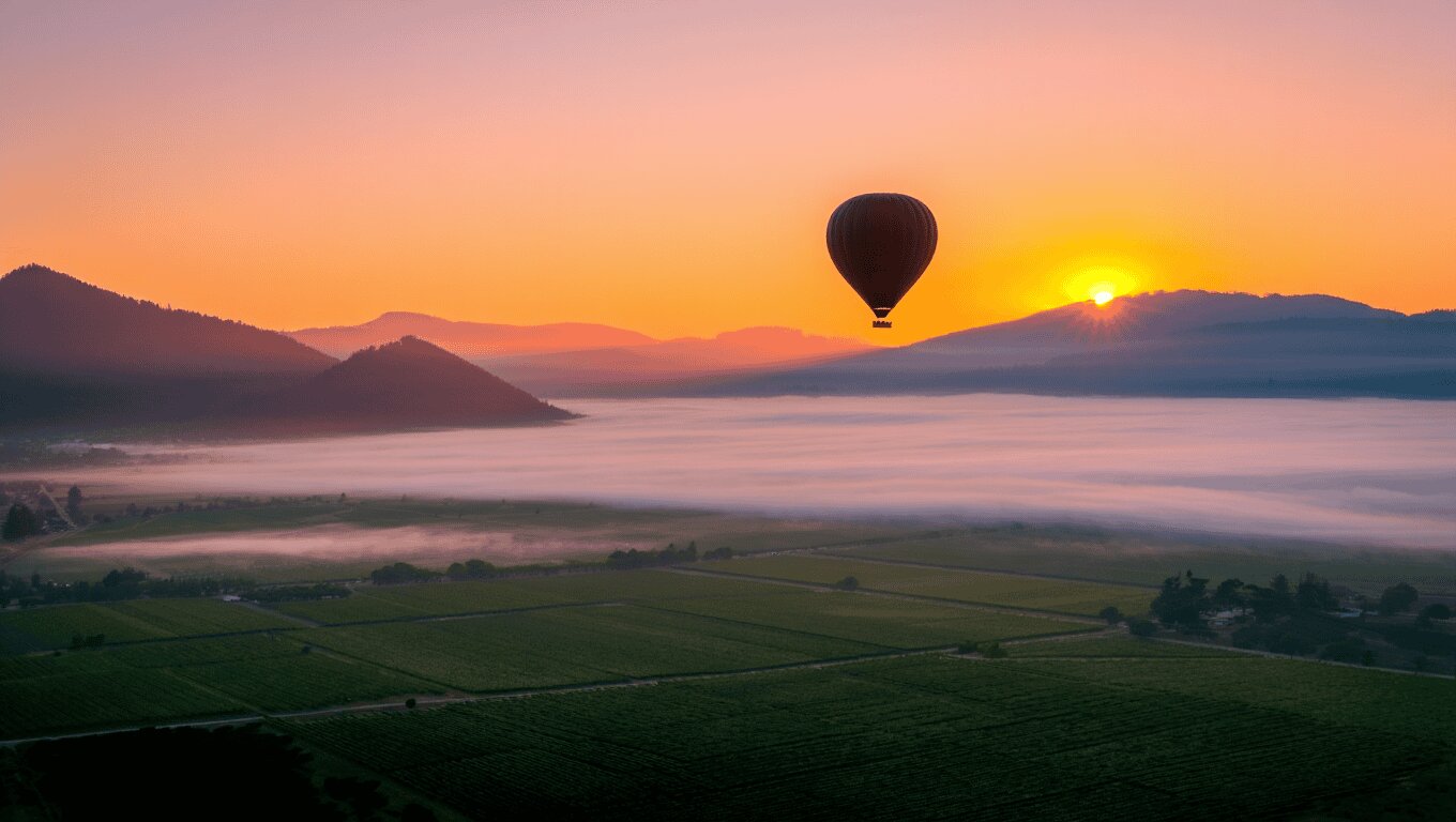 Hot air balloon flying over Napa Valley vineyards at sunrise with fog near Carneros and Silverado Trail visible below.
