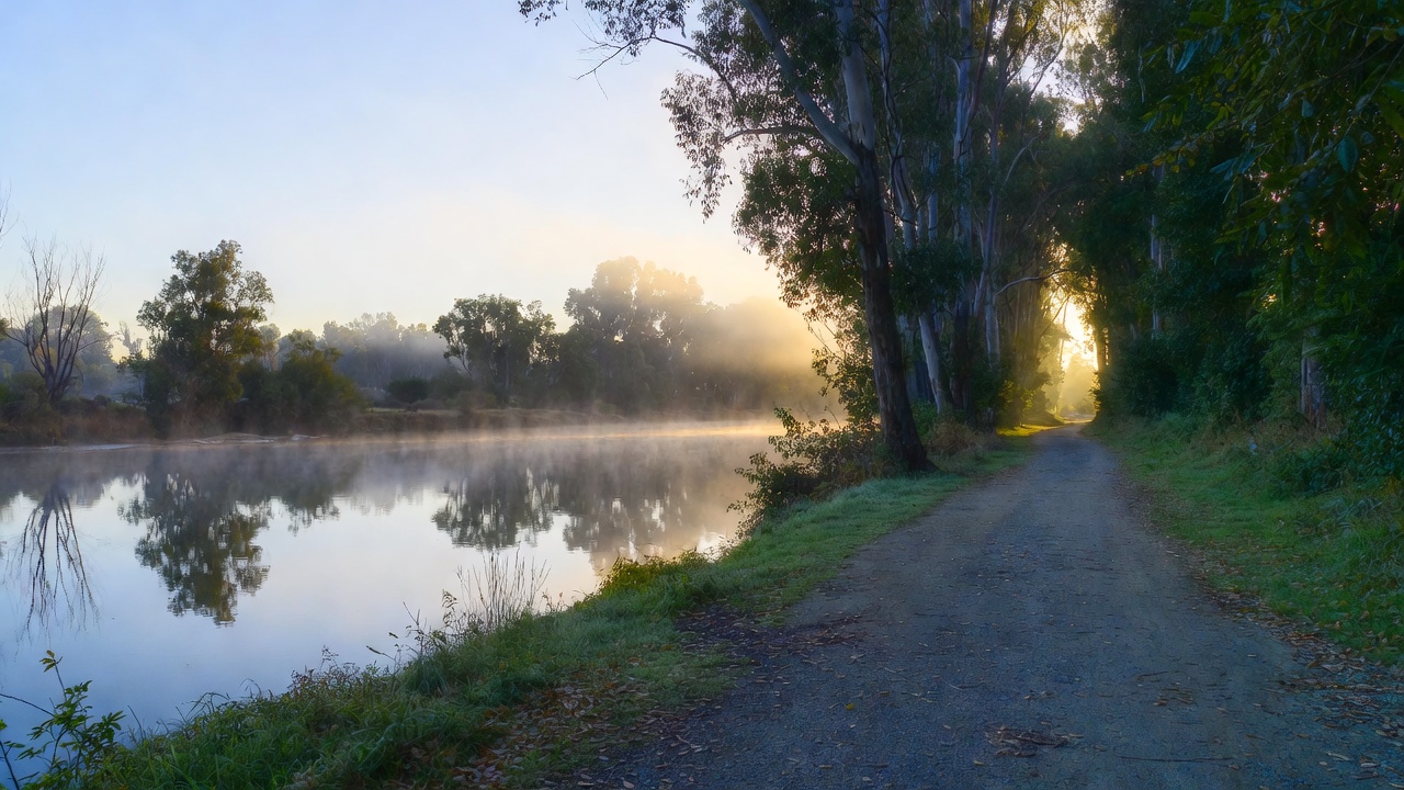 A quiet stretch of the Napa River Trail in the early morning, with calm water and shaded trees, offering a peaceful space for reflection and slow walking.