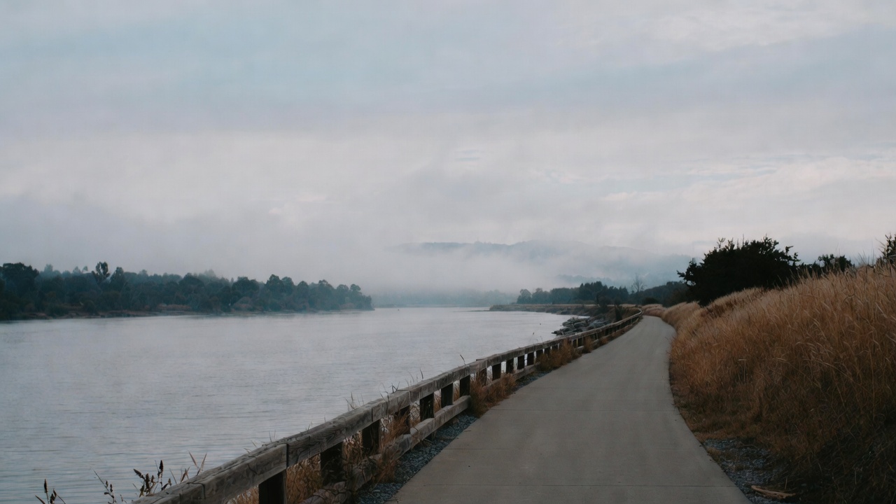  Peaceful walking path along the Napa River Trail in early morning light, representing reflection and forward momentum during a personal comeback trip.
