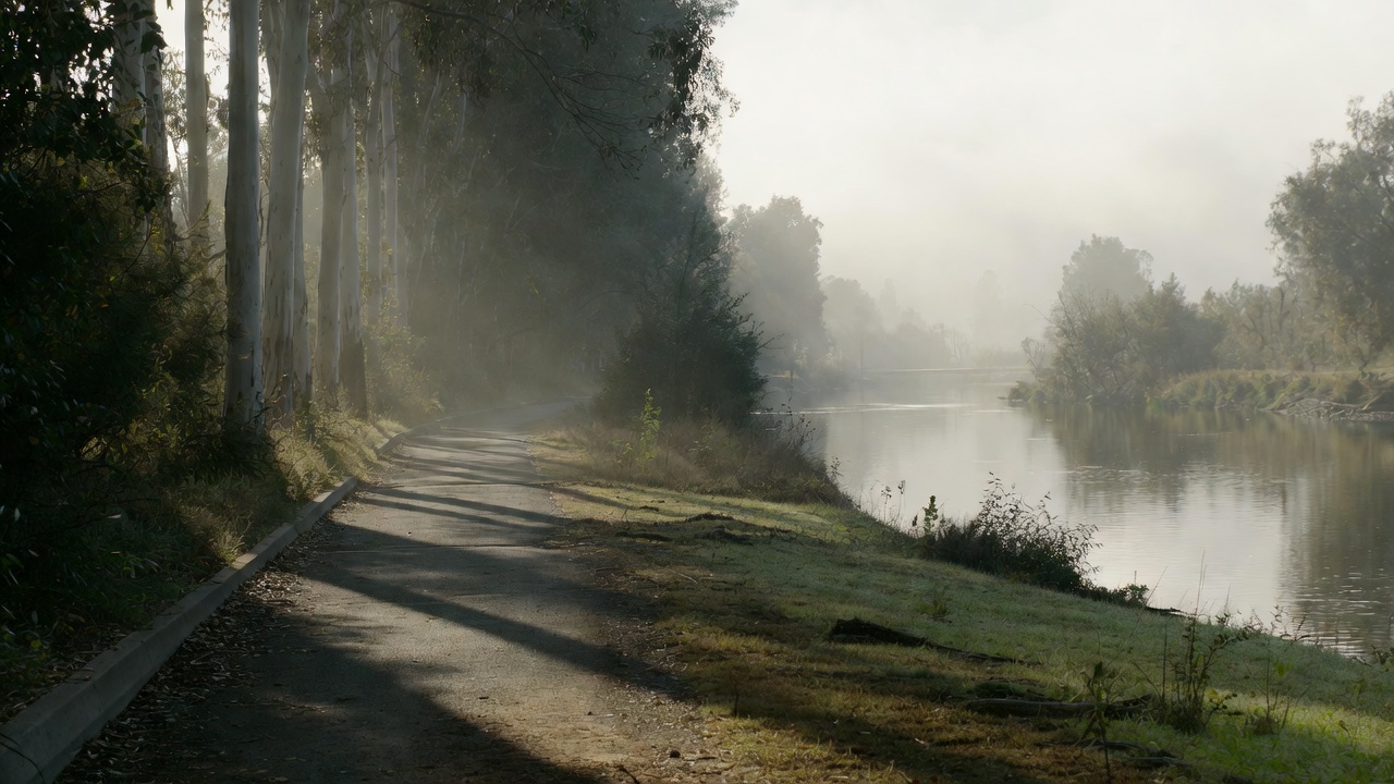 Peaceful walking path along the Napa River Trail in early morning light, representing reflection and forward momentum during a personal comeback trip.
