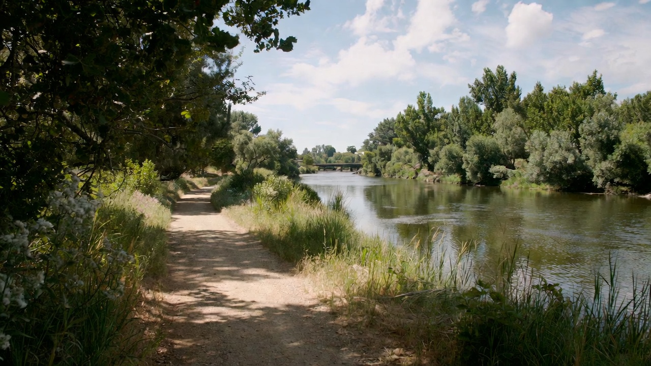  Walking path along the Napa River Trail in Napa Valley, providing a reflective space for discussion and quiet walks during a literary retreat.
