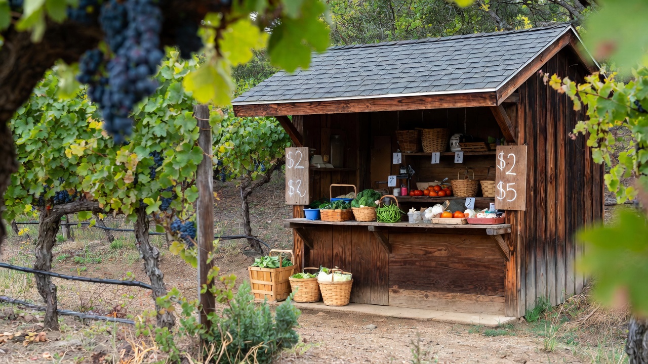  A roadside farm stand along Silverado Trail in Napa Valley offering seasonal vegetables and fruit beside vineyard rows, showing where home cooks find fresh local ingredients.
