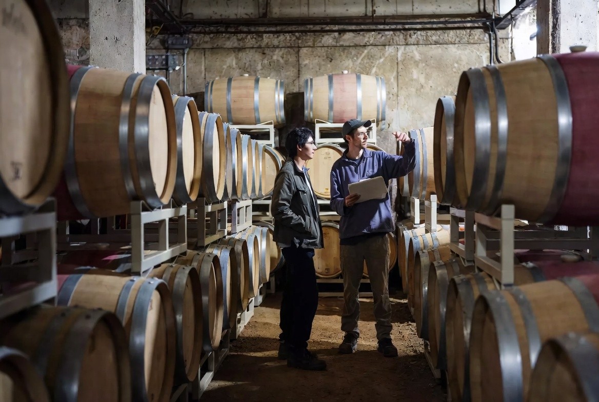 Scenic view along Silverado Trail in Napa Valley with vineyards and hills, representing a quiet drive shared during a father son weekend focused on doing.