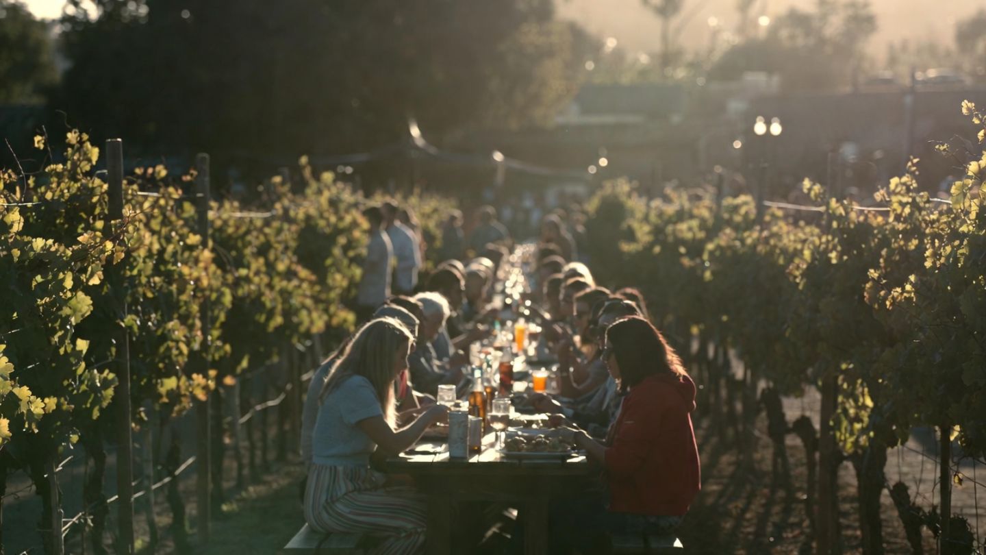 Outdoor Napa Valley festival with long communal tables and vineyard backdrop, showing a seasonal community celebration focused on food and gathering.