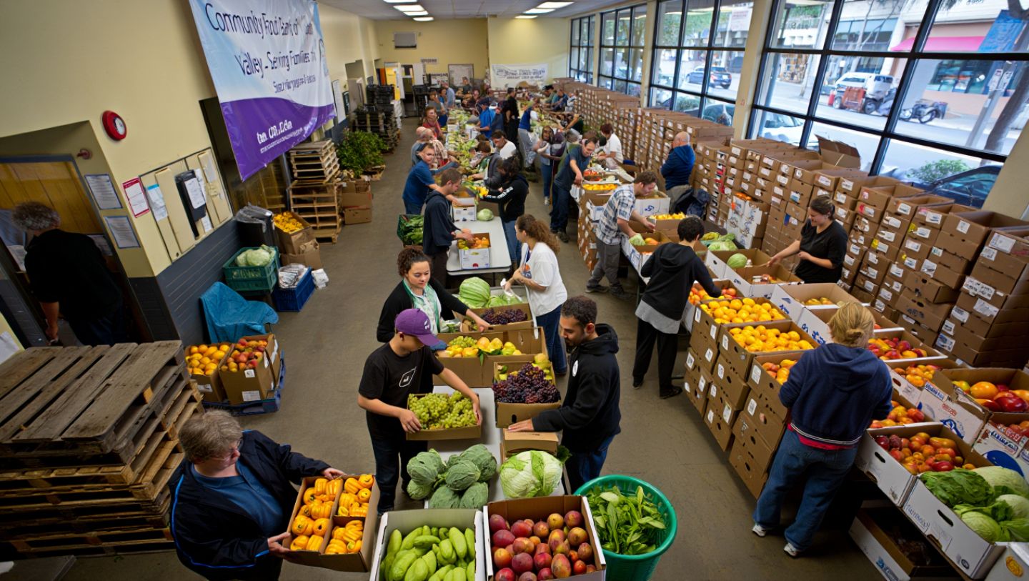 Volunteers organizing fresh vegetables at a Napa Valley community food bank in downtown Napa California.