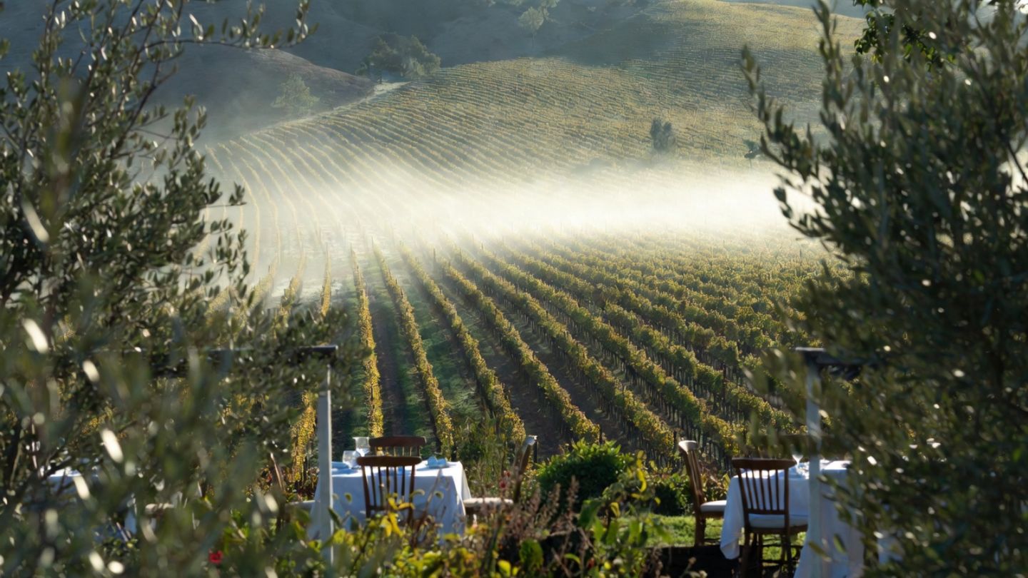 Outdoor vineyard lunch setting along Silverado Trail in Napa Valley with tables set among vines and garden beds under soft morning light, showing a calm, wellness focused wine country experience.