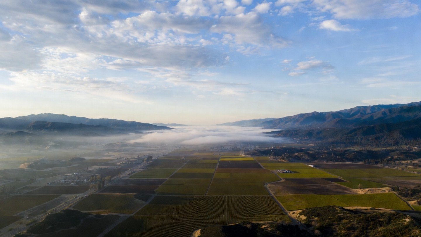 A wide, elevated view of Napa Valley looking north to south, showing vineyard blocks, Highway 29, Silverado Trail, and the surrounding Vaca and Mayacamas mountain ranges. Early morning light with light fog in the south.