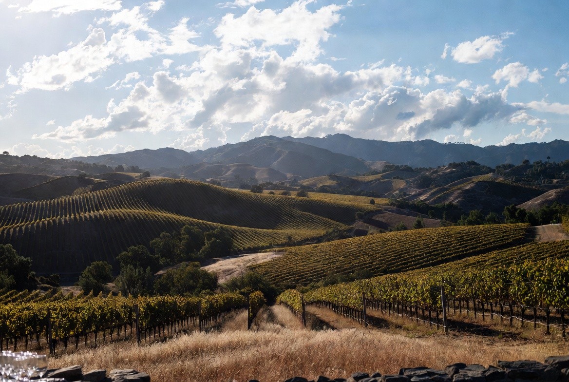 Golden hour view of Napa Valley vineyards toward the Mayacamas mountains, symbolizing a quiet and reflective milestone birthday celebration.
