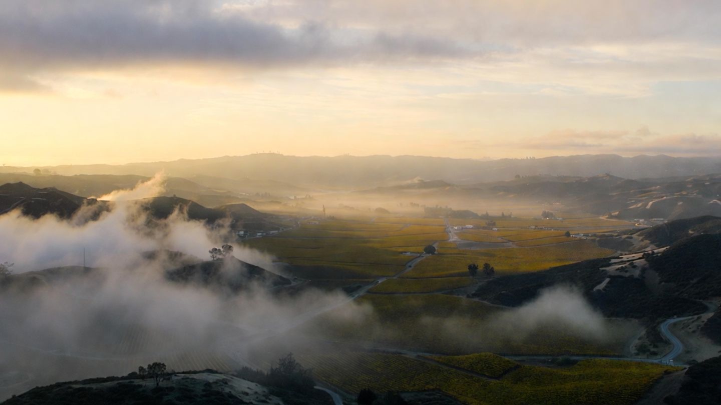 Early morning fog lifting over Napa Valley vineyards along Highway 29, capturing a calm arrival from Oakland and the East Bay for minimalist travelers packing light.