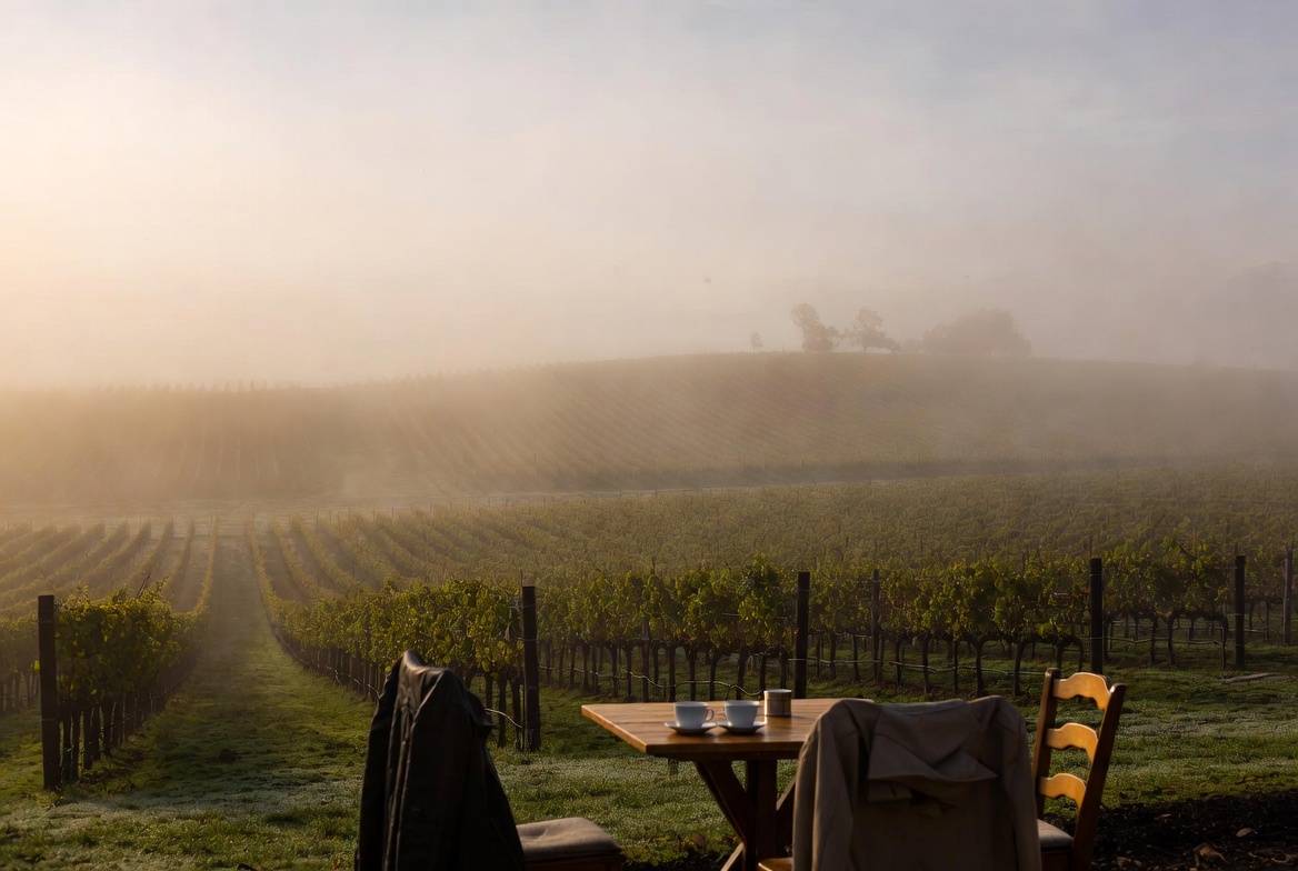 Morning fog lifting over Napa Valley vineyards with coffee cups on a patio, symbolizing a calm and reflective new family celebration trip.