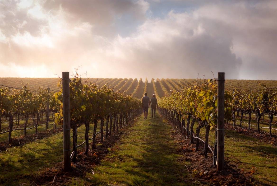Parent and adult child walking together between vineyard rows in Napa Valley, creating a quiet and reflective moment during a legacy weekend trip.