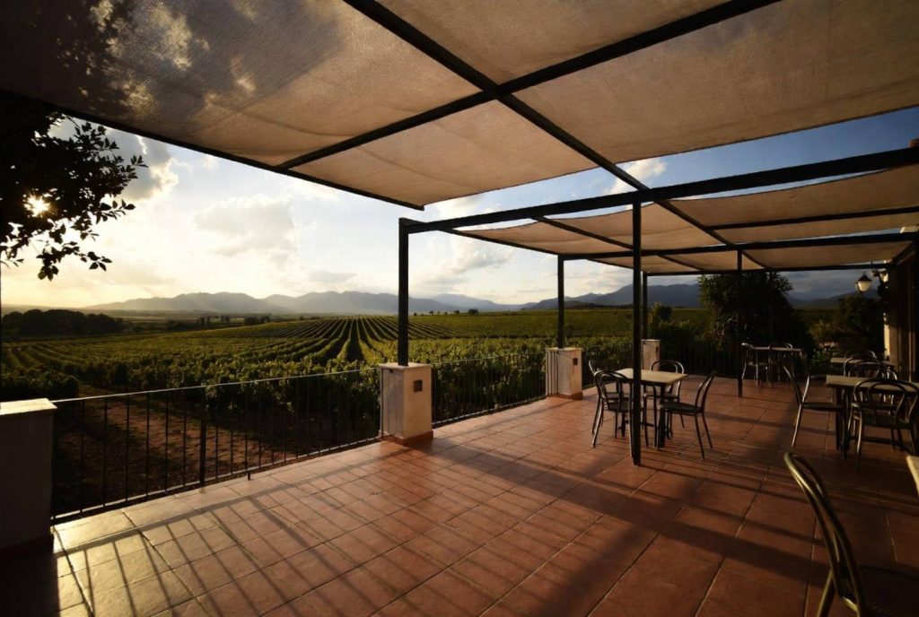 An empty vineyard terrace in Napa Valley during late afternoon, with soft sunlight and mountain views creating a peaceful, reflective atmosphere.