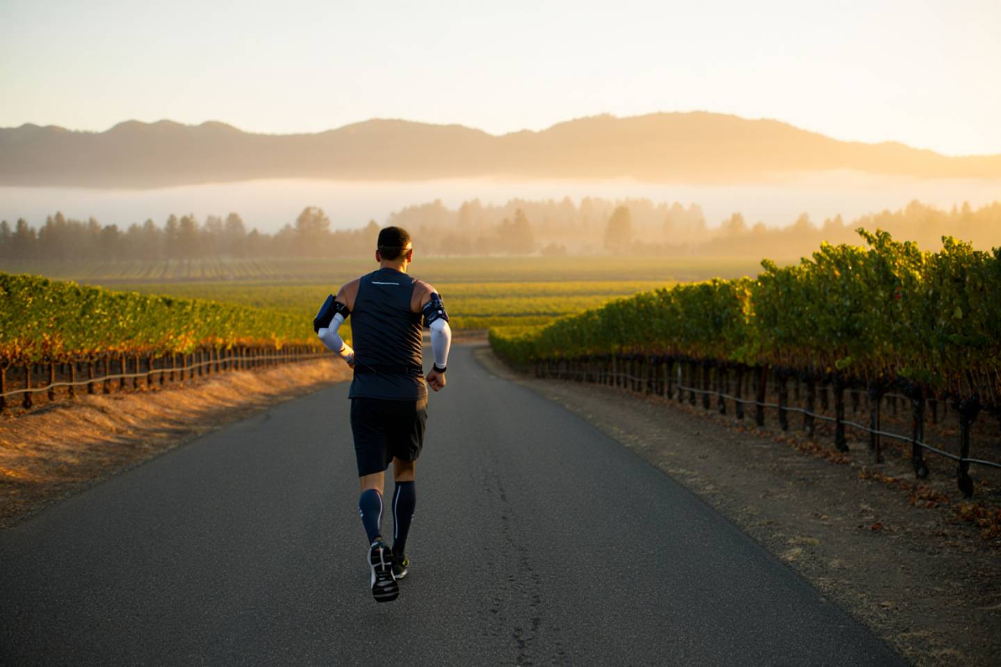Runner on Silverado Trail in Napa Valley at sunrise with vineyard rows and morning fog over the Rutherford benchlands and Mayacamas mountains.