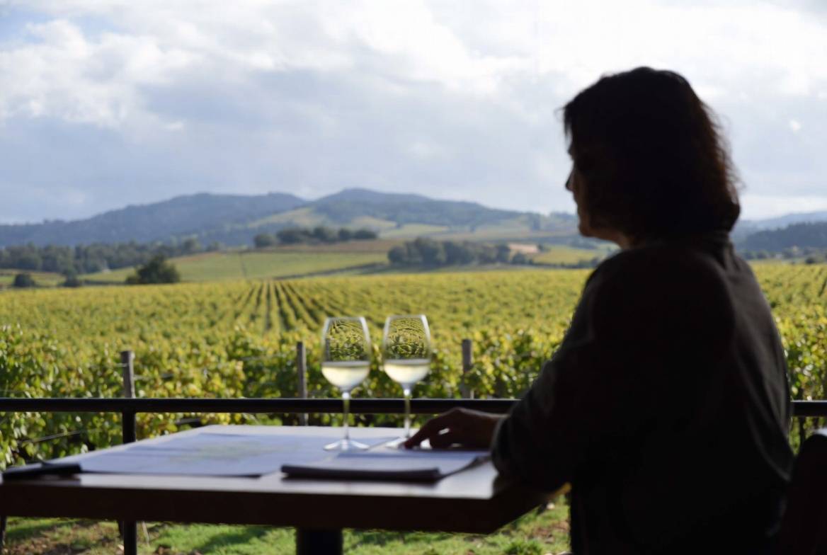 Seated winery tasting in Napa Valley with vineyard views, designed for thoughtful conversation and learning during a parent child trip.