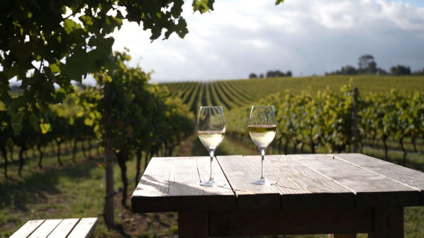 Two wine glasses on a wooden table overlooking Napa Valley vineyards during a seated tasting, reflecting a relaxed, minimalist wine country experience.