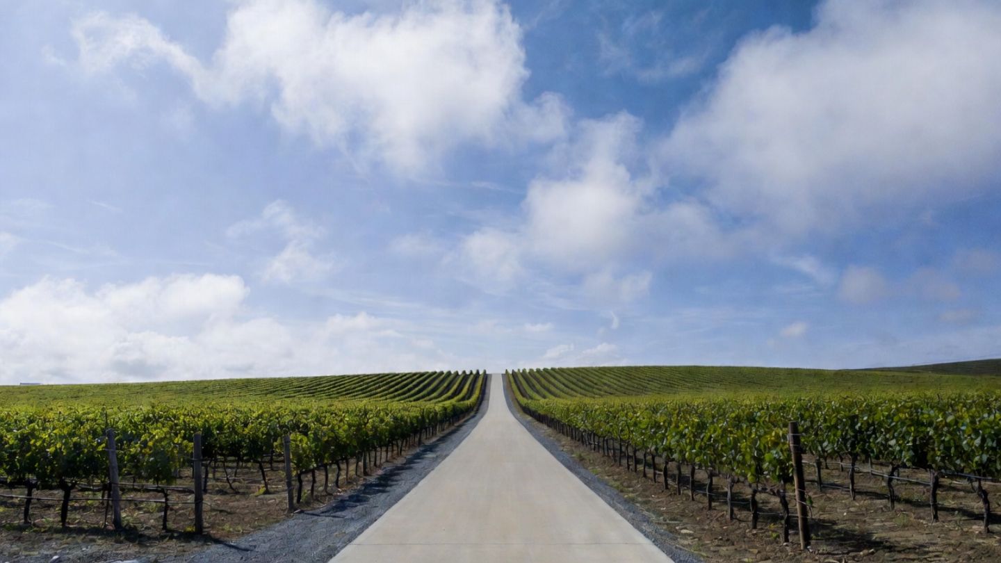 The Napa Valley Vine Trail near Yountville, a paved walking path connecting town centers and vineyards for pedestrians.