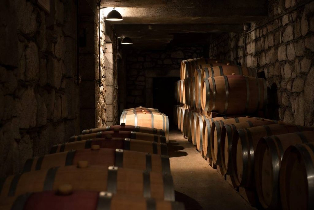Interior of a Napa Valley winery cellar with stacked oak barrels and soft lighting, evoking craftsmanship, history, and stories behind the wine.