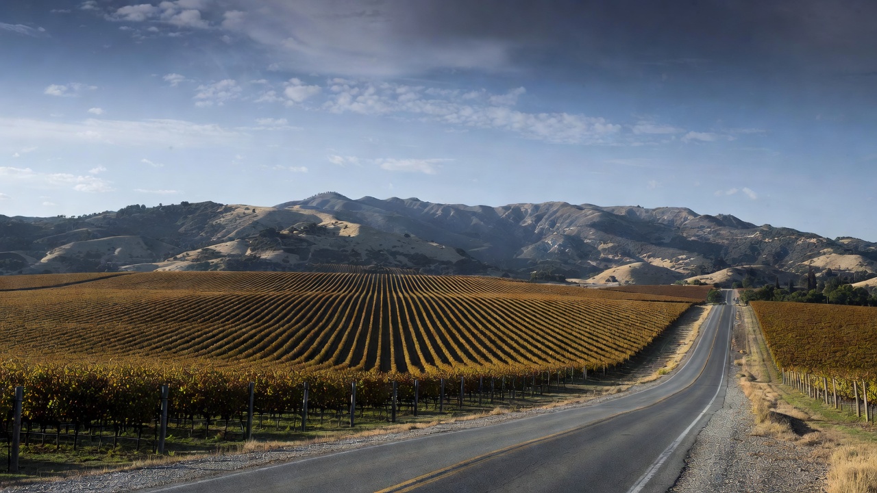  Empty stretch of Silverado Trail in Napa Valley with vineyards and distant hills, illustrating quiet travel and minimal noise away from downtown areas.